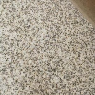 毕节 黄金麻中黄光面