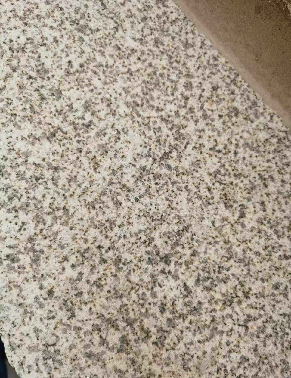 毕节 黄金麻中黄光面