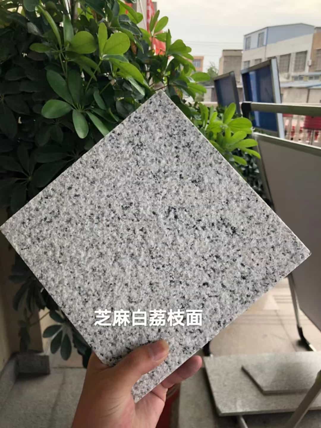 毕节 芝麻白荔枝面干挂