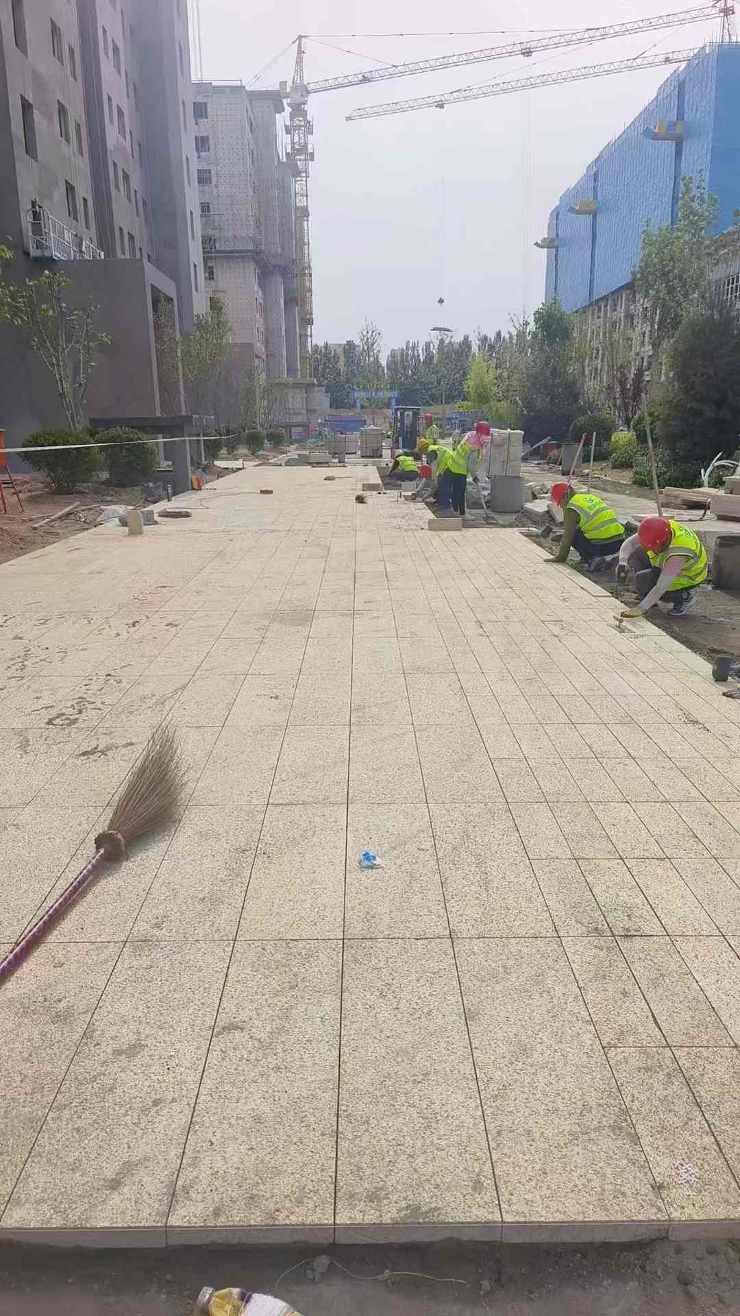 毕节黄金麻荔枝面地铺案例